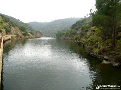 Ruta del Turrón y Polvorón - Los Pinares del Rey: naturaleza y biodiversidad; rutas sierra de grazal